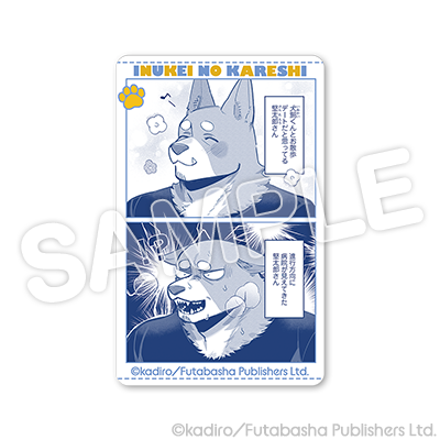 ホワイトカード