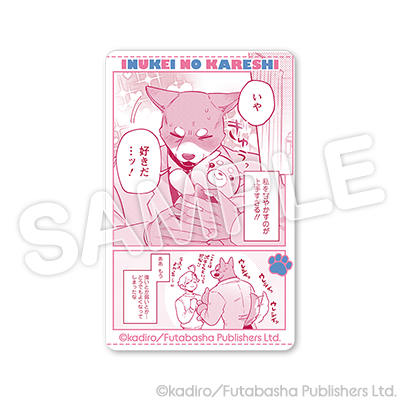 ホワイトカード